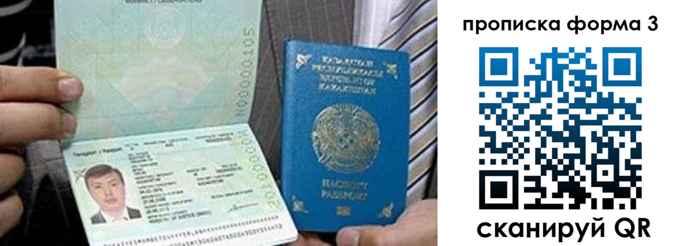 найти адрес прописки в Коле